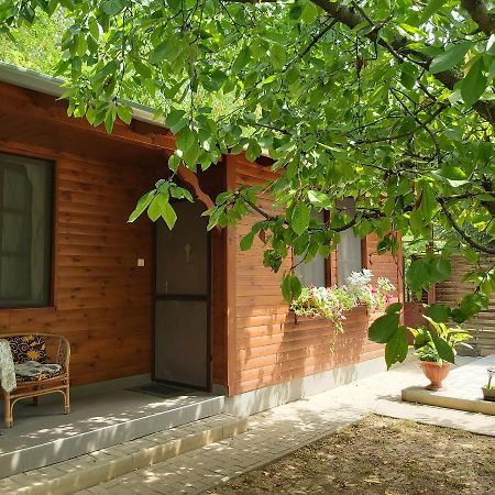 Melinda Nyaralohaz Apartment Balatonkenese Bagian luar foto